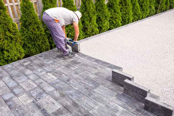 Best Driveway Paving Near Me  in Plantation, FL